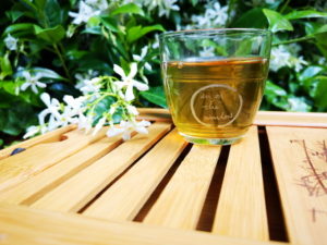 Cup of Green Tea sit in front of plants 