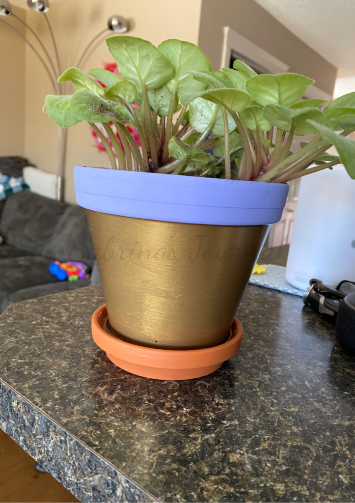 Gold Purple Terracotta Pot